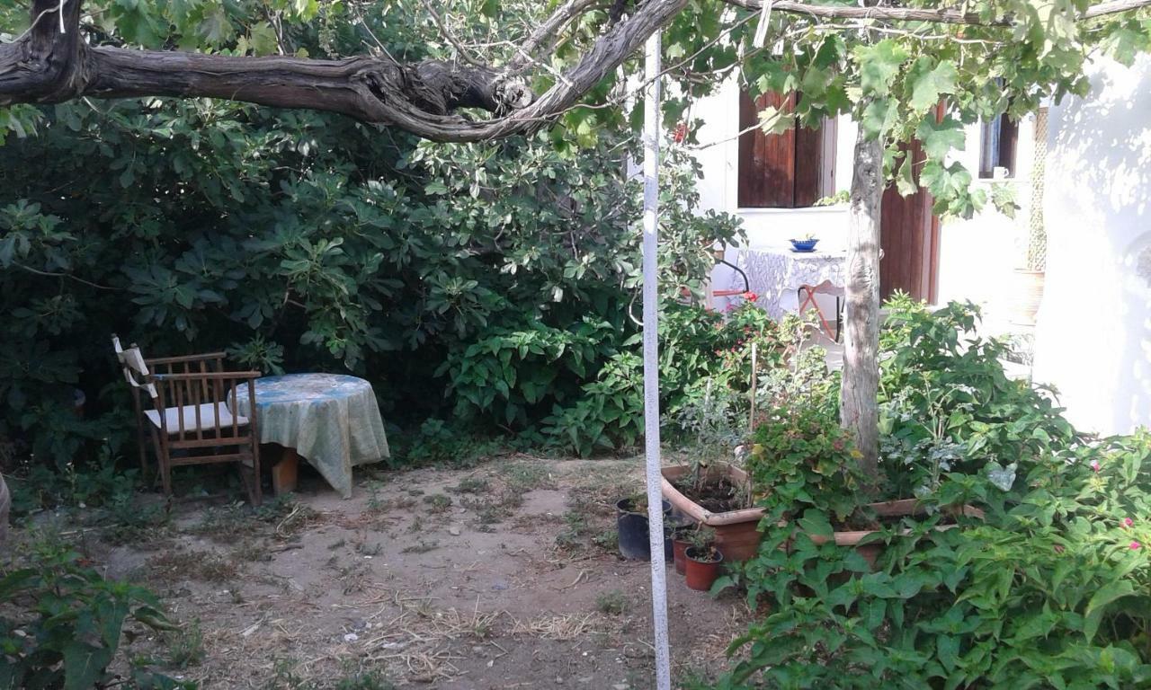 פליאוחורה Αmmos Rooms מראה חיצוני תמונה
